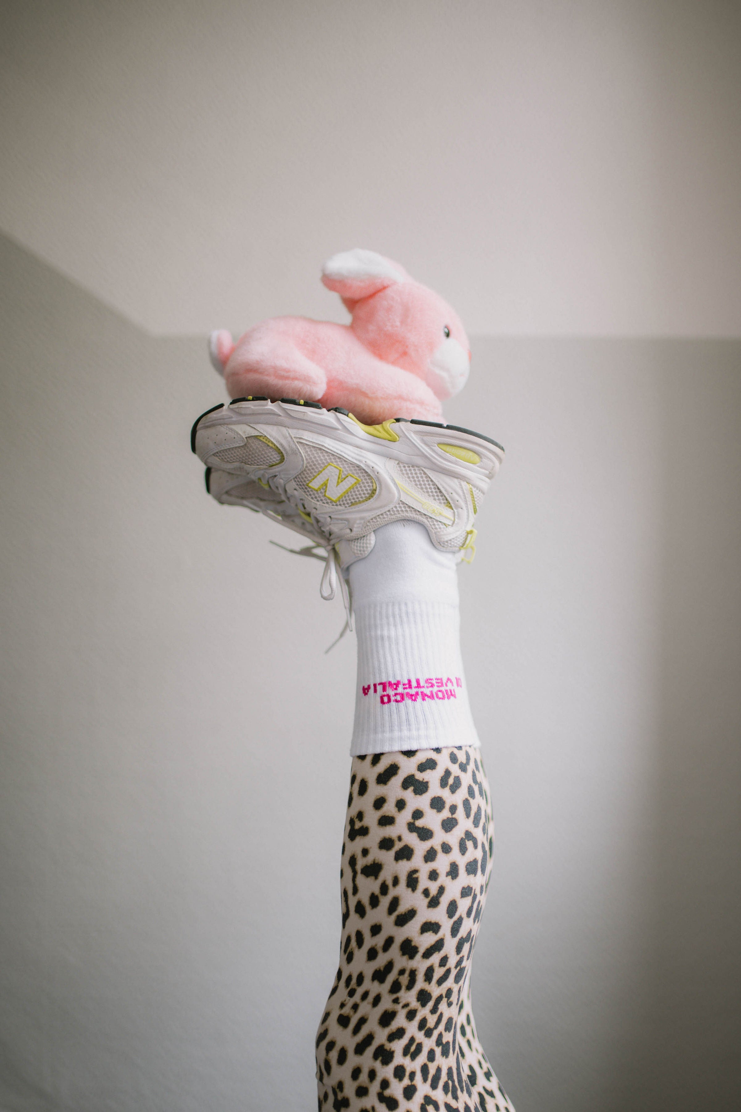 Socken: Monaco Di Vestfalia